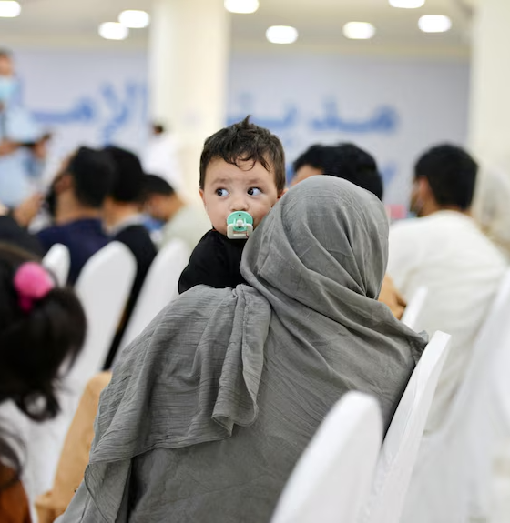 3cda4ad9914fa8aa05de76295cbe80a2